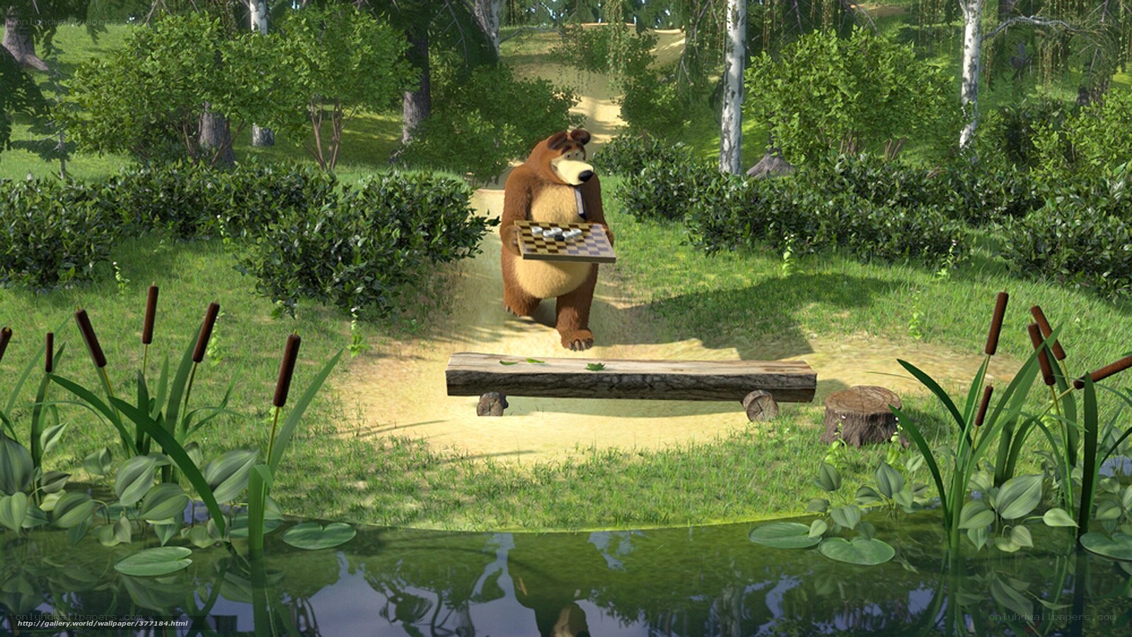 Bear with chessboard in forest