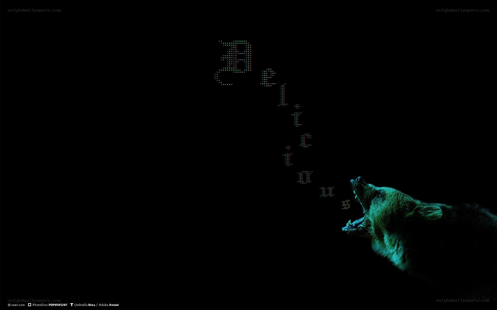 bear with digital text