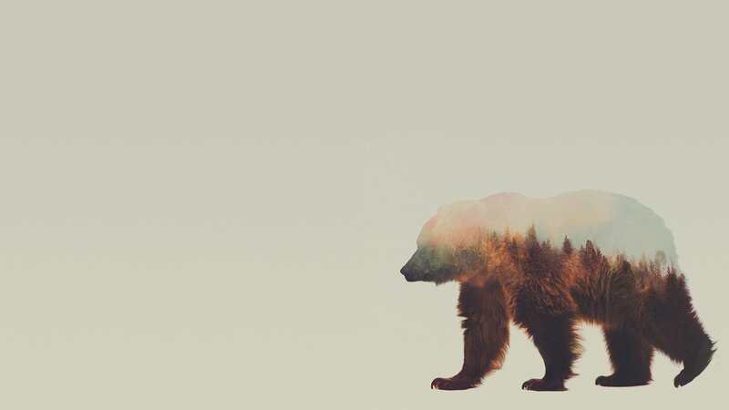 Bear with Forest Overlay