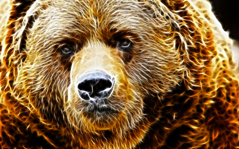 bear with glowing fur