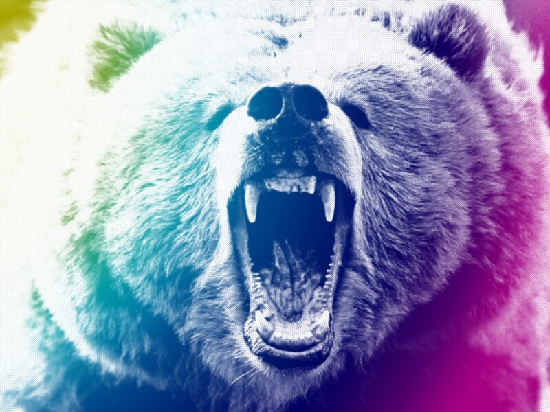 Bear with Open Mouth — Blue