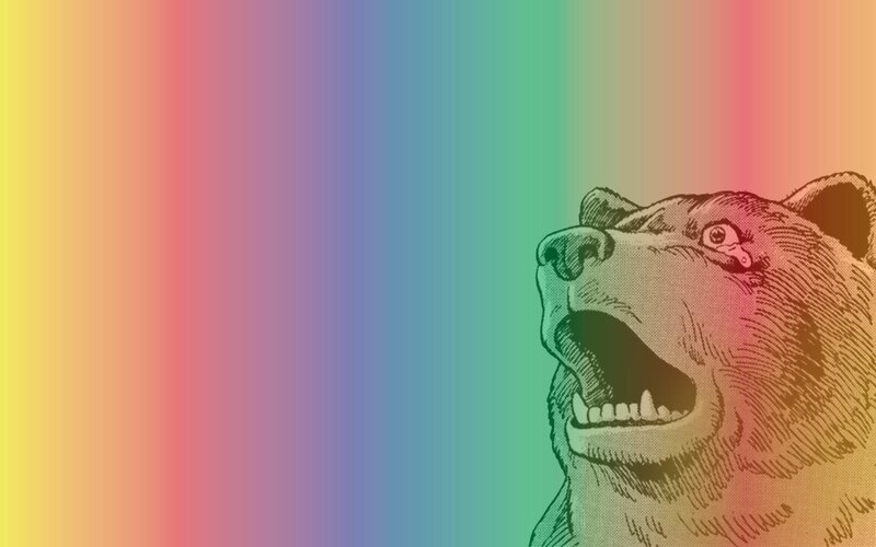 bear with rainbow background