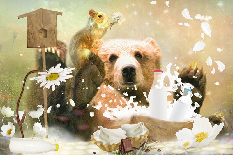 Bear with Squirrel