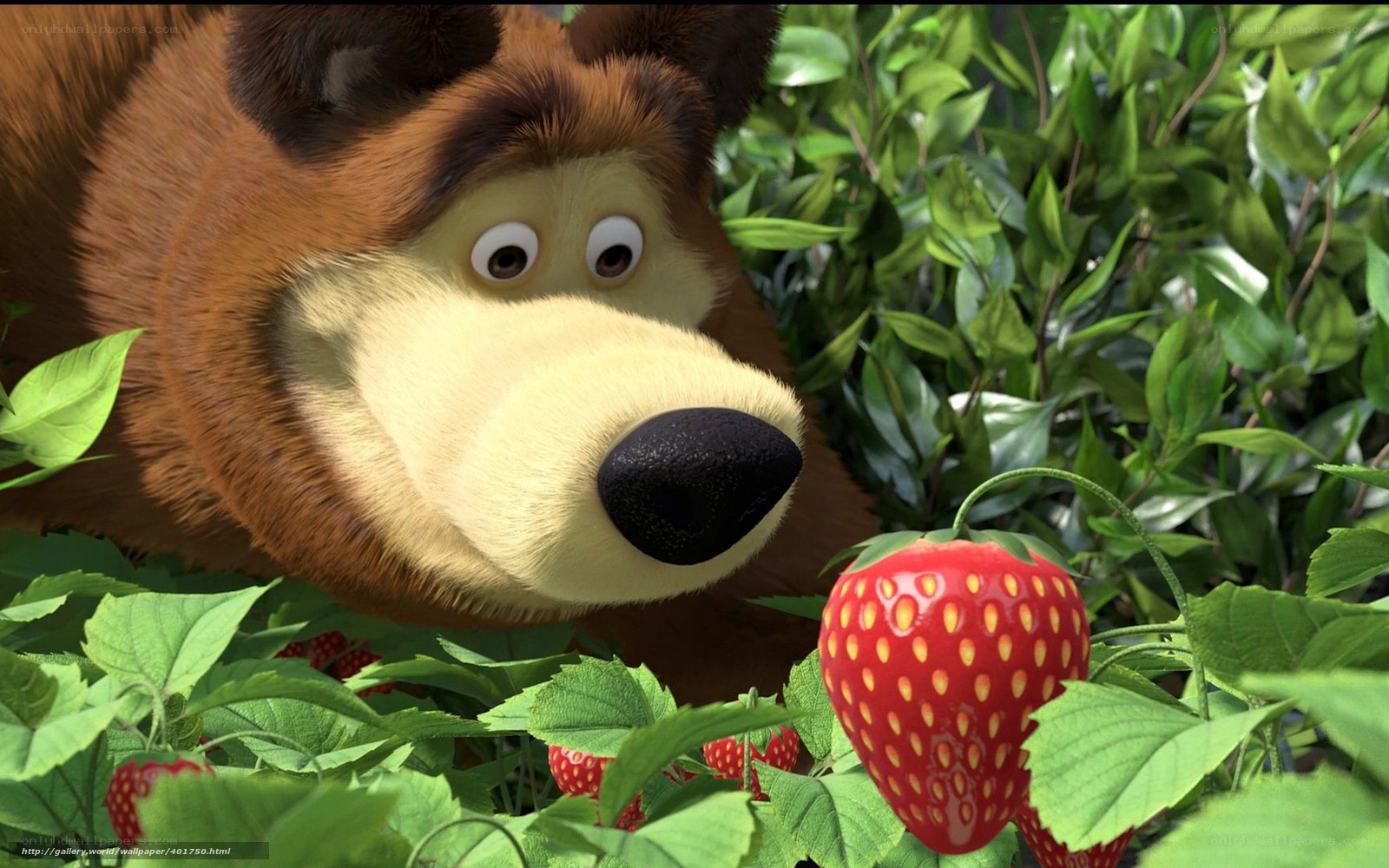 bear with strawberry