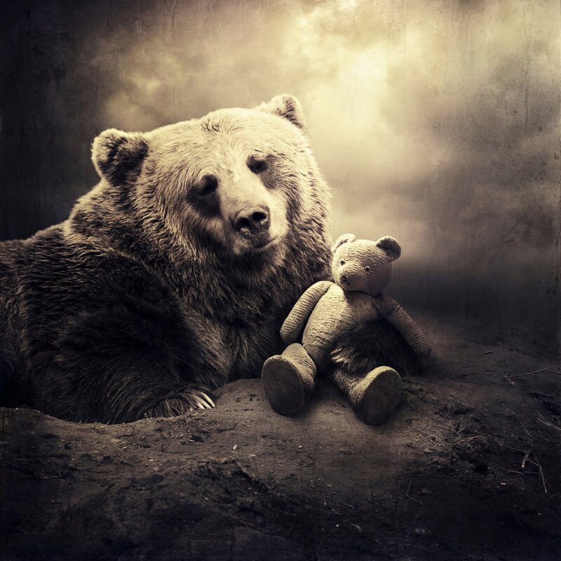 Bear with teddy bear