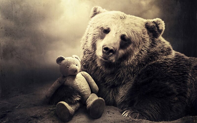 Bear with Teddy Bear — Brown, Dramatic, Photograph, Teddy Bear, Dust