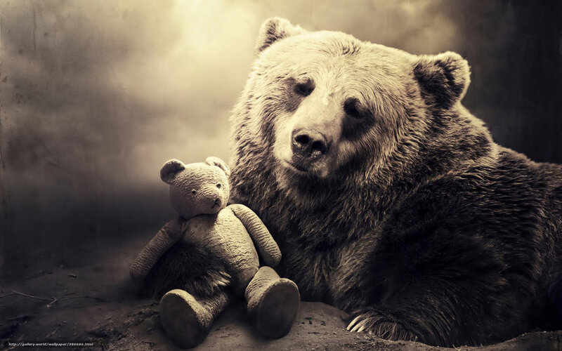 Bear with Teddy Bear — Brown, Dramatic, Photograph