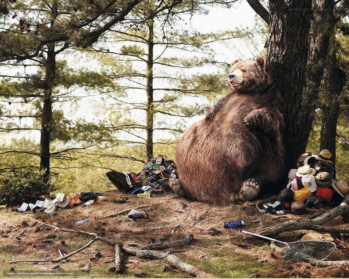 Bear with trash in forest