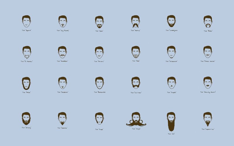Beard style guide