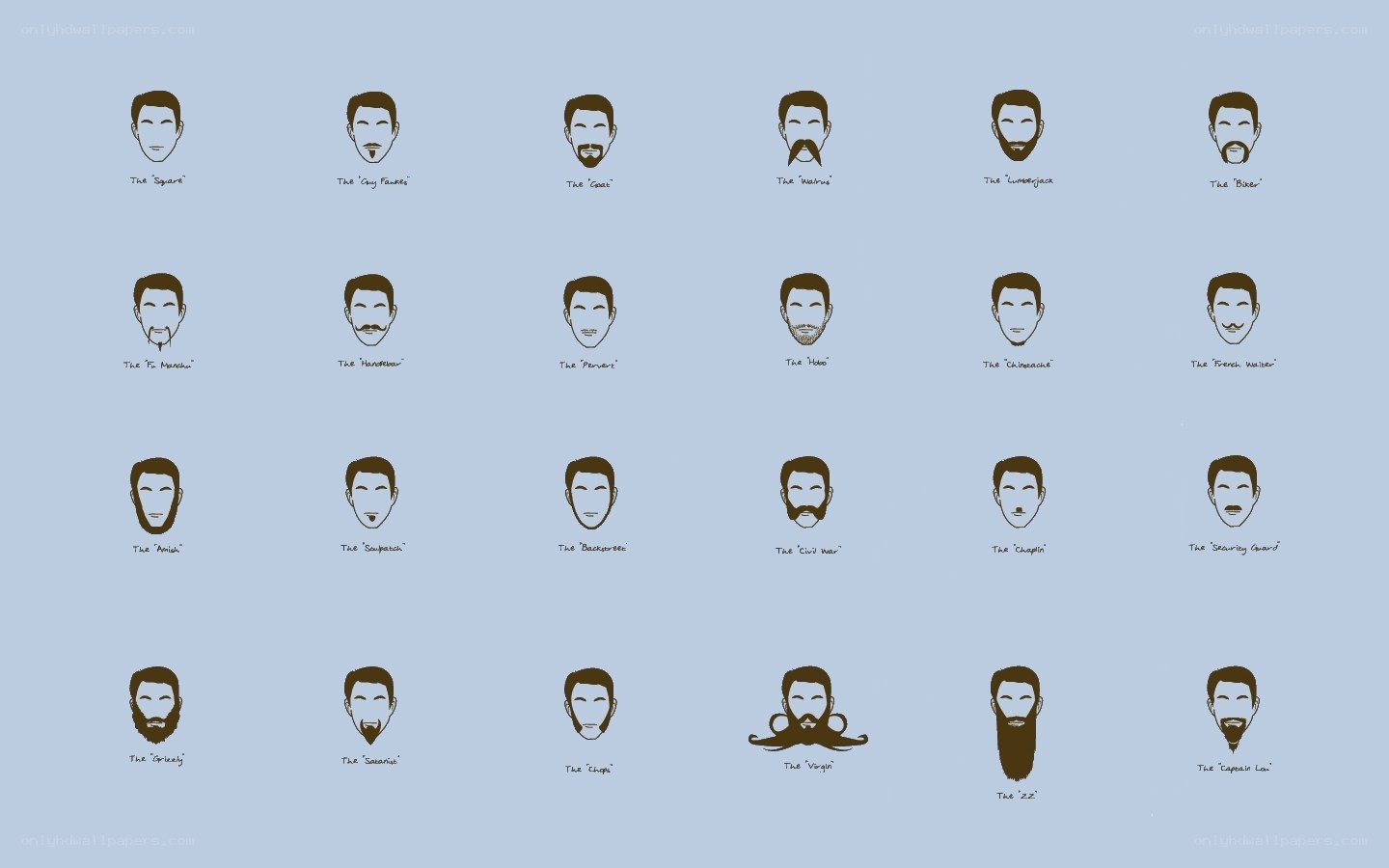 Beard style guide