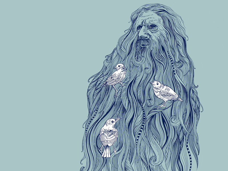 bearded figure with birds