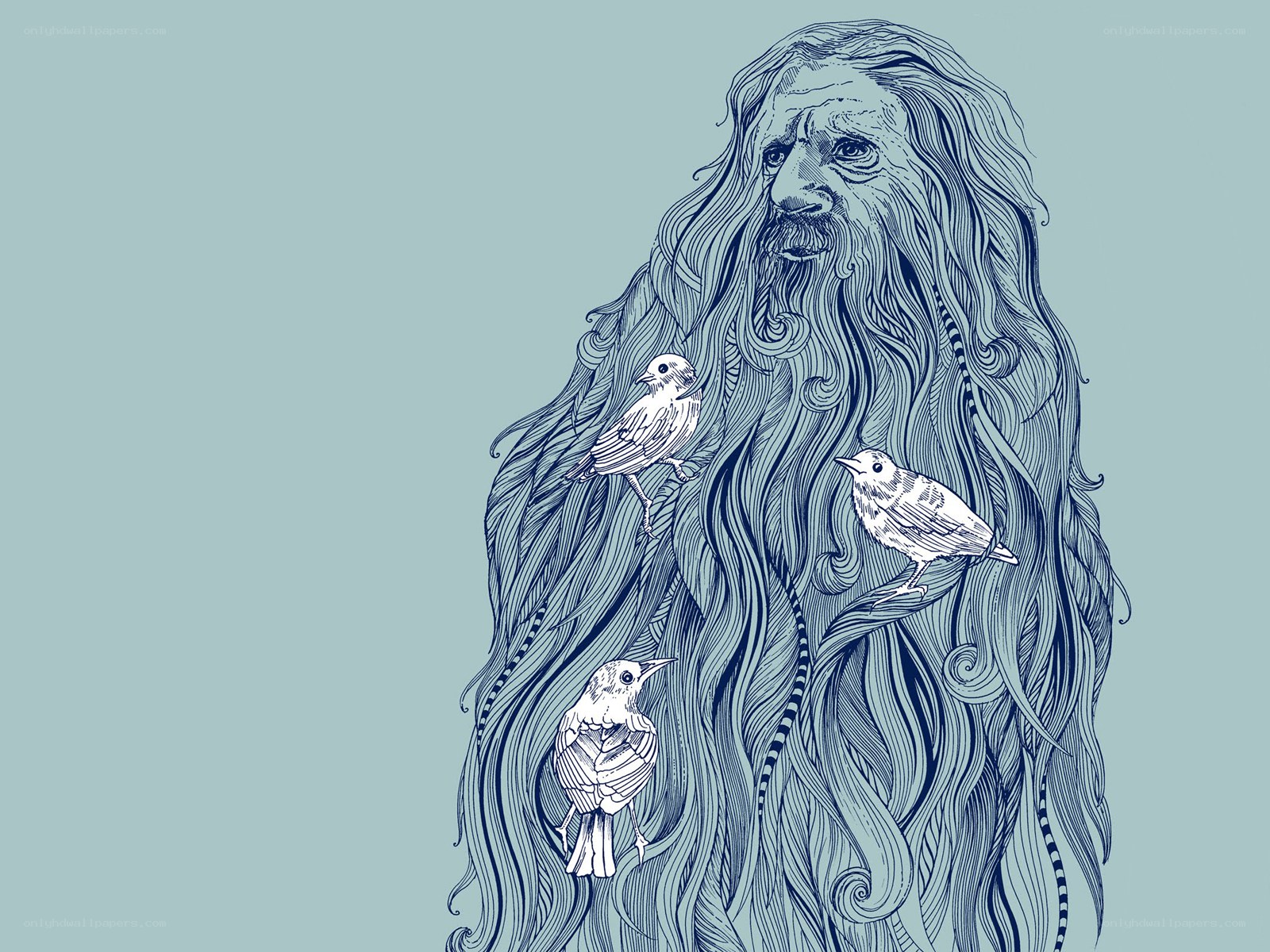 bearded figure with birds