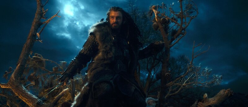 Bearded Man in Fur Coat