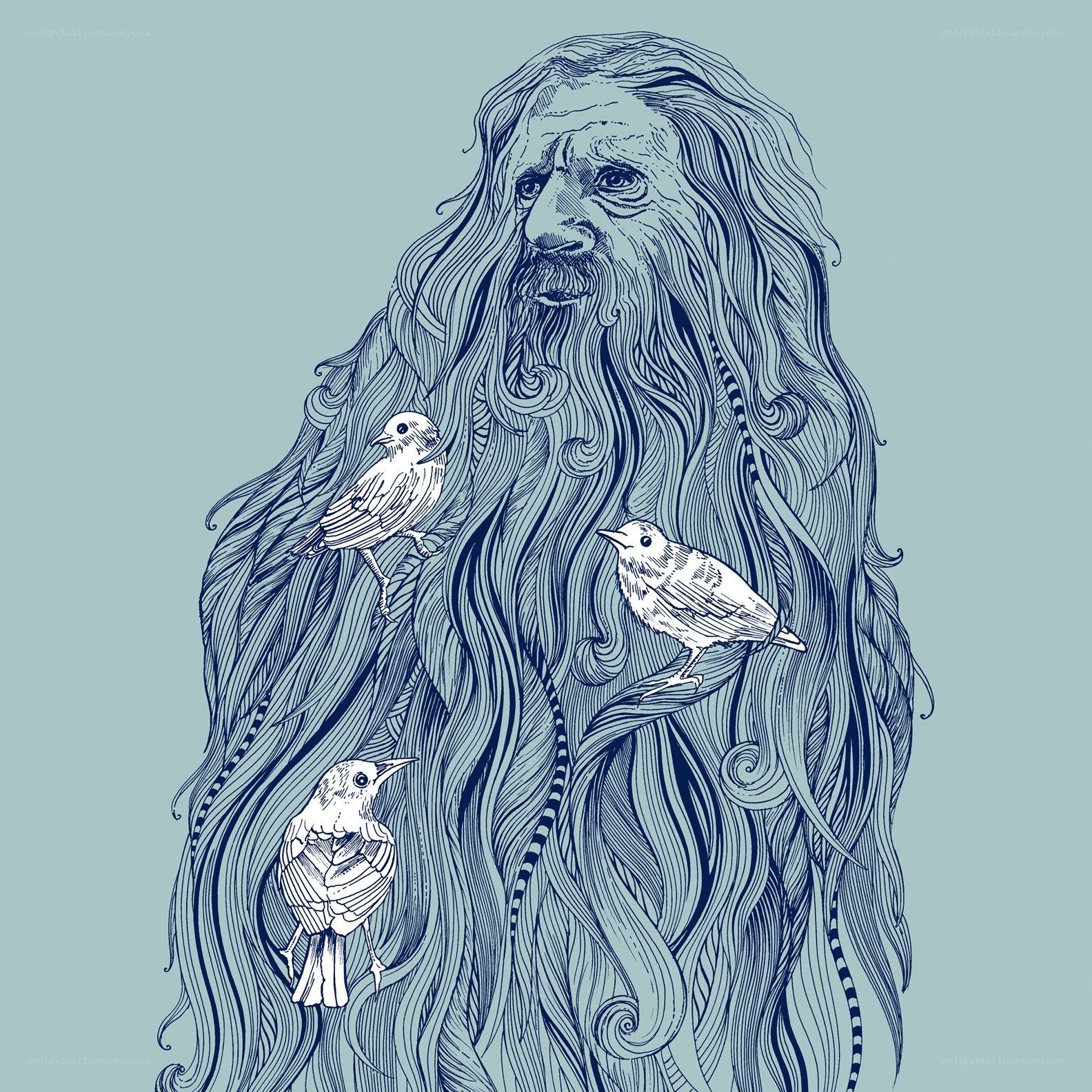 bearded man with birds