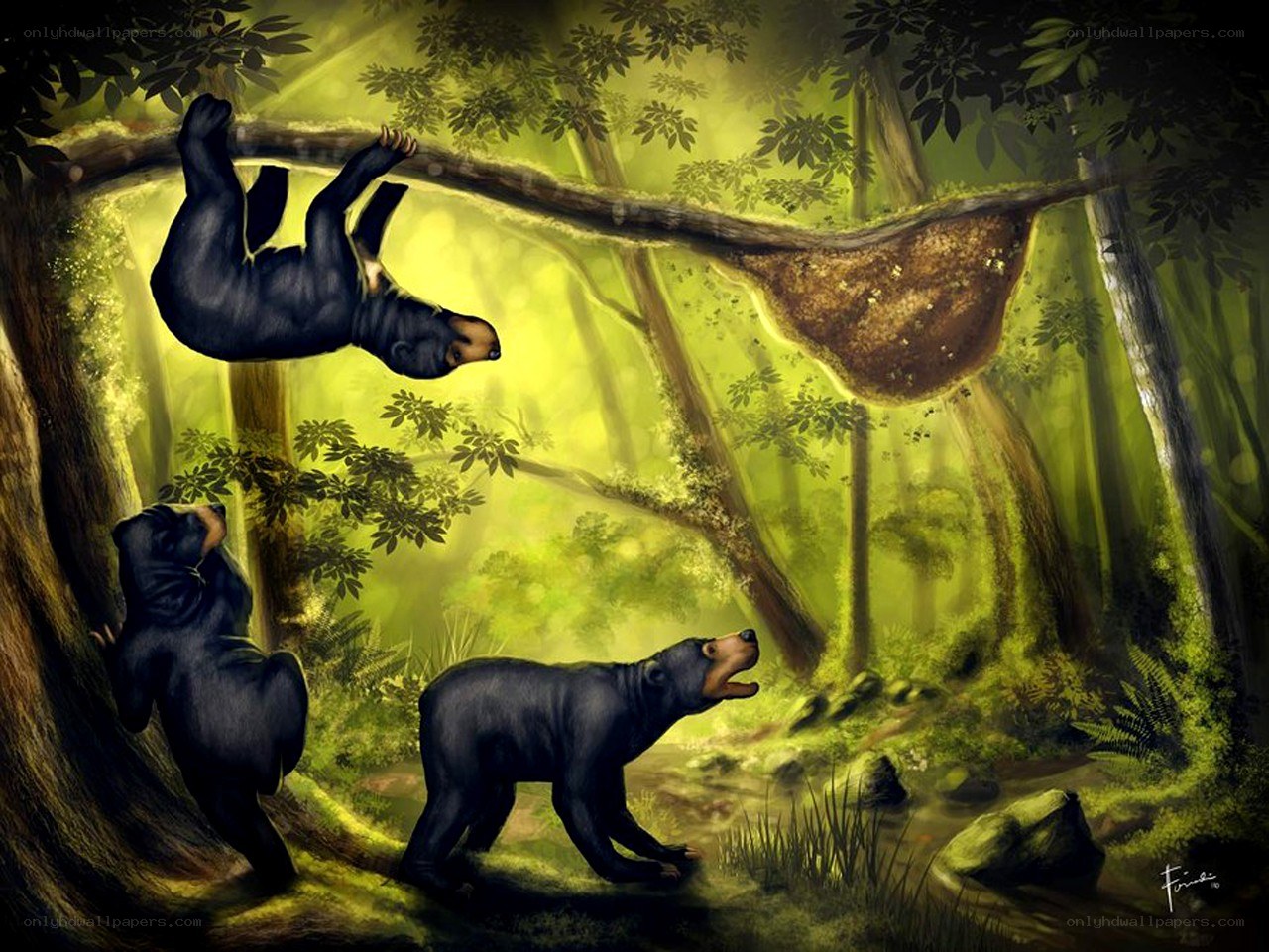 Bears in a forest