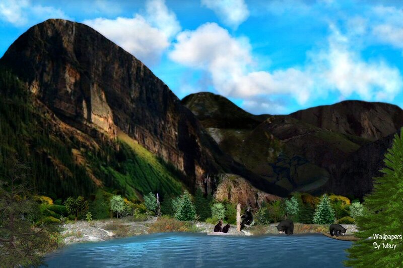 Bears in Mountain Lake