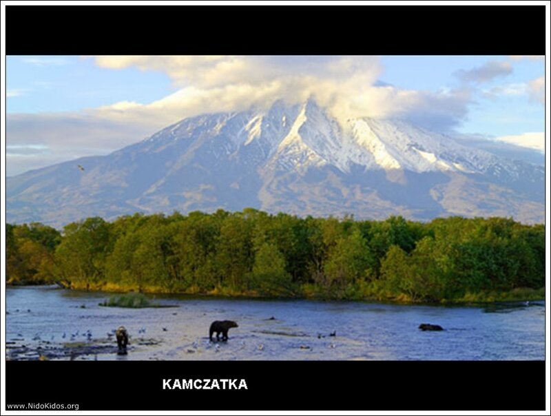 Bears near a river with Kamchatka mountain