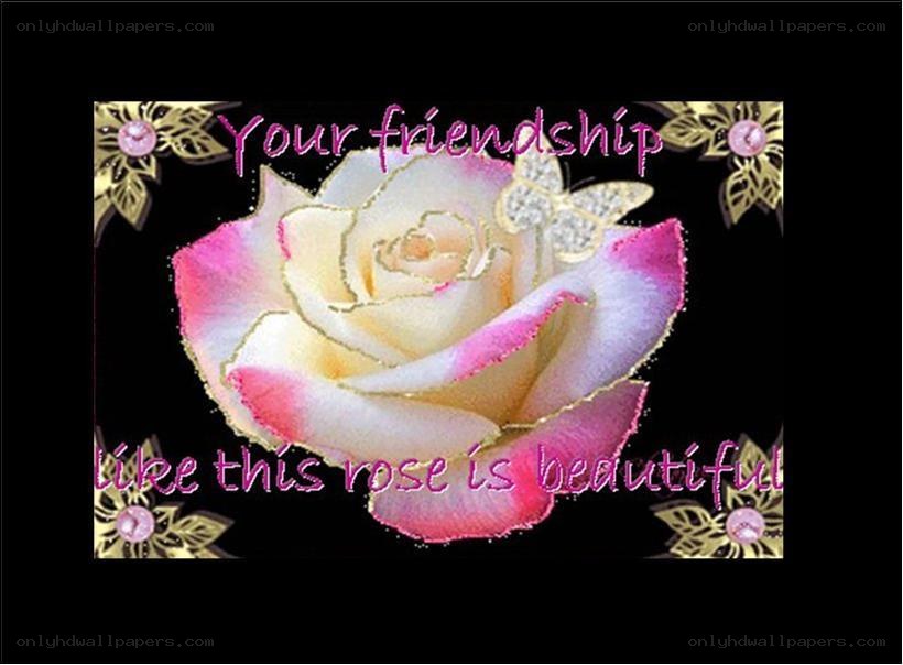 beautiful rose friendship message