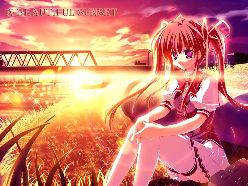 beautiful sunset anime girl