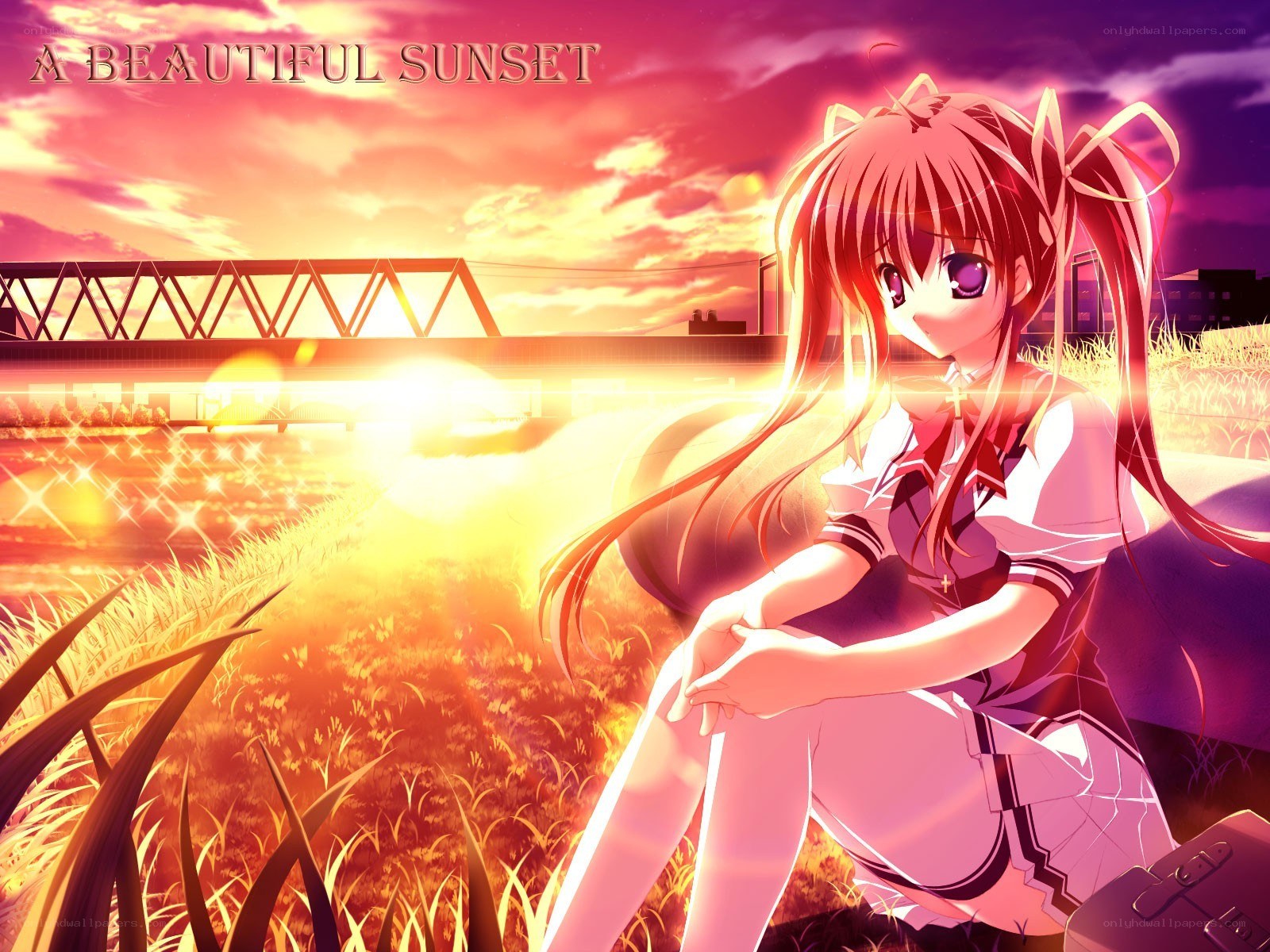 beautiful sunset anime girl