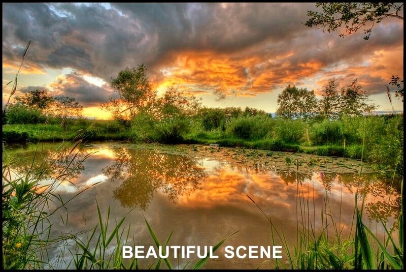 Beautiful sunset over a pond