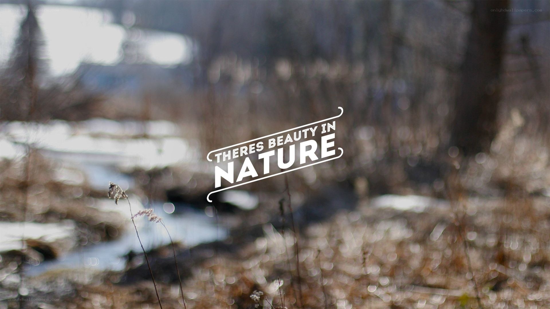 Beauty in nature