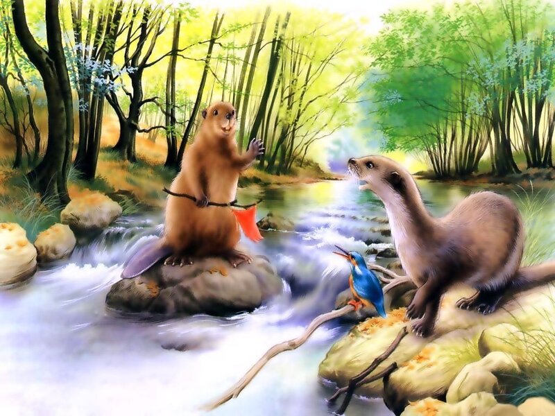Beaver and Otter in Stream