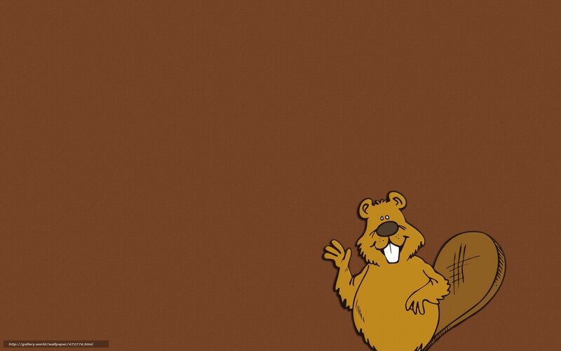 beaver cartoon wallpaper
