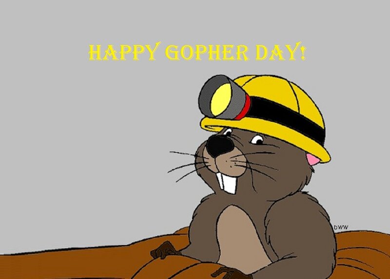 Beaver in Hard Hat
