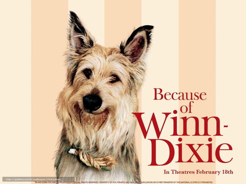 Because of Winn-Dixie movie poster