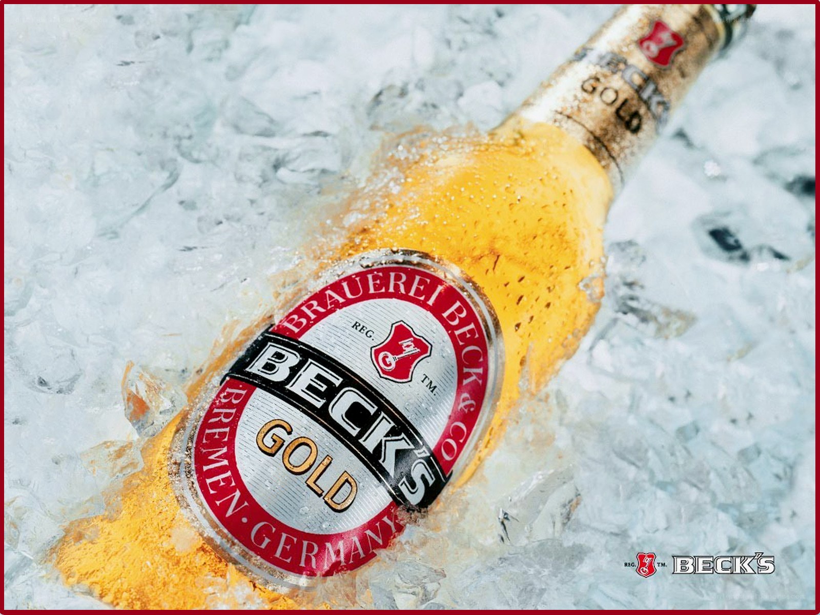 Beck's Gold beer in ice