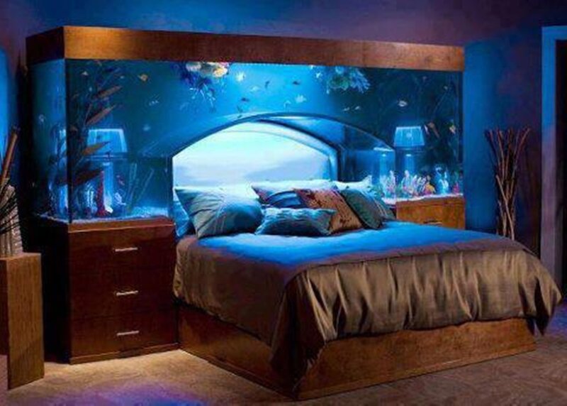 Bed with Aquarium Headboard
