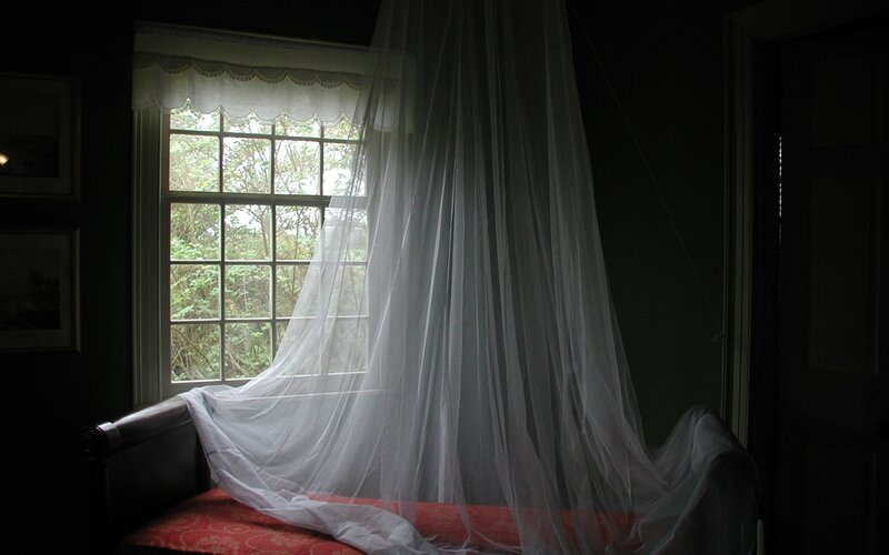 Bed with canopy in dim room