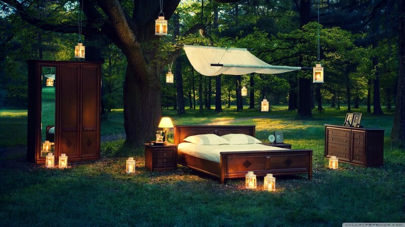 Bedroom Furniture in Forest