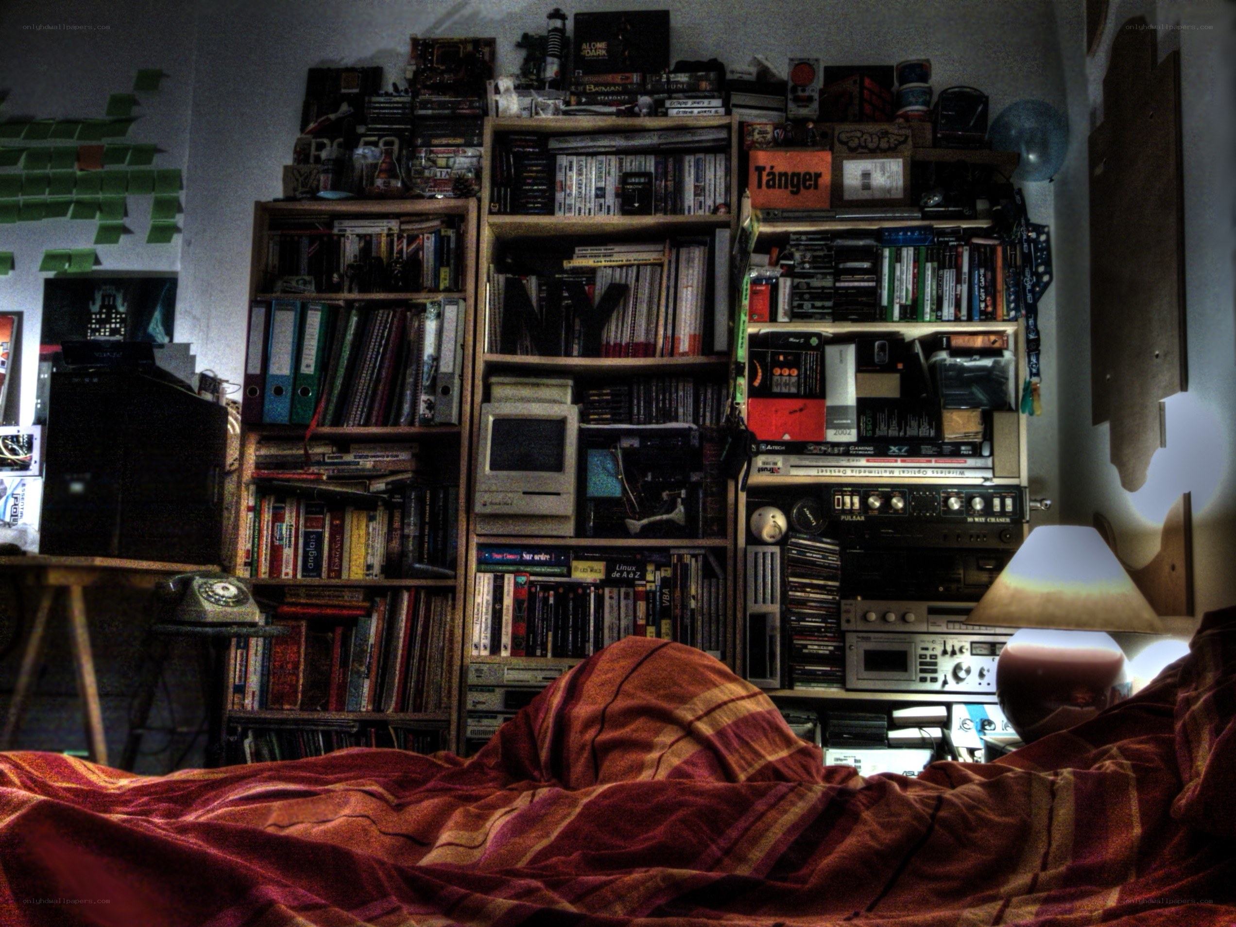 bedroom with bookshelf