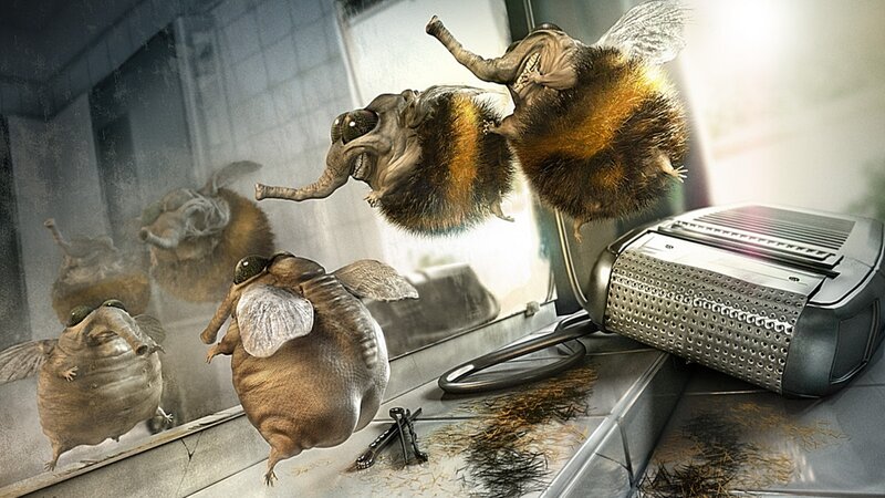 bee-elephant hybrids in barber shop