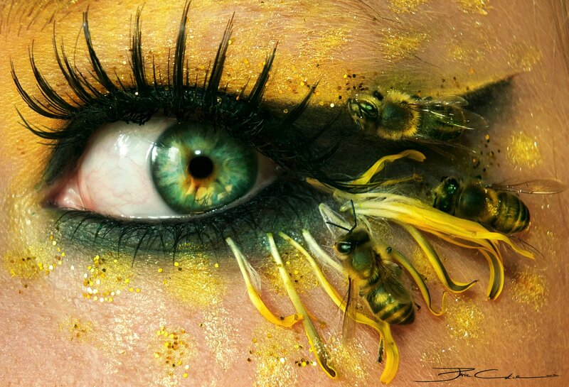 bee eye art close-up