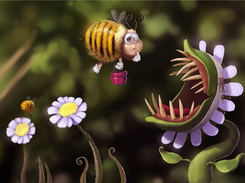 Bee Flying Near Venus Flytrap