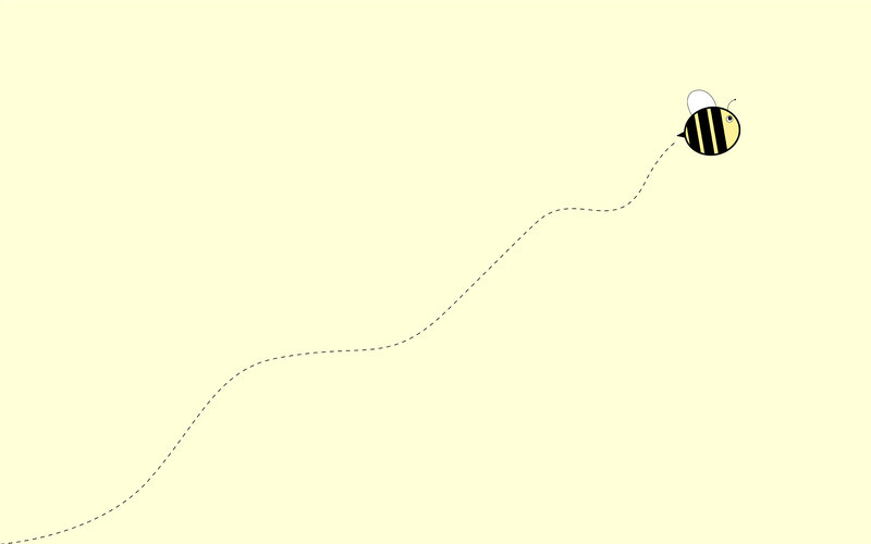 bee flying on a path
