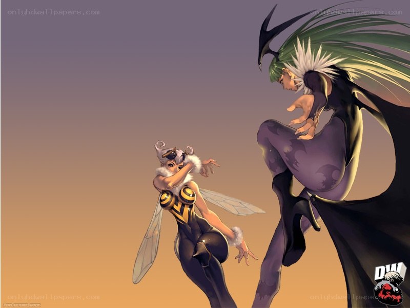 Bee girl vs green-haired fighter