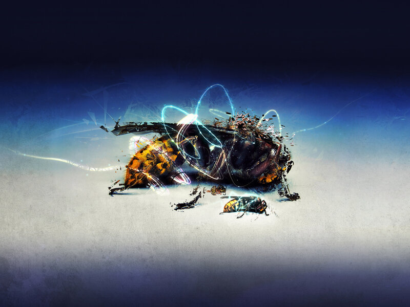 Bee in digital disintegration
