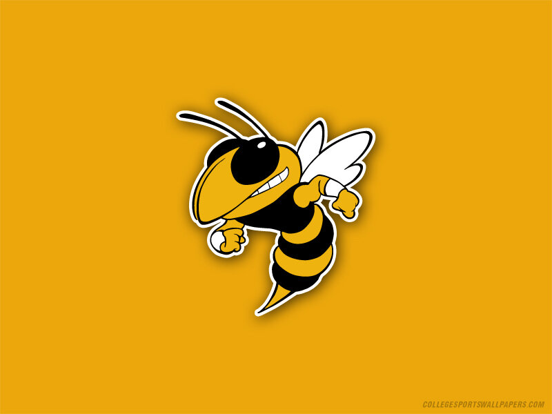Bee mascot on orange background