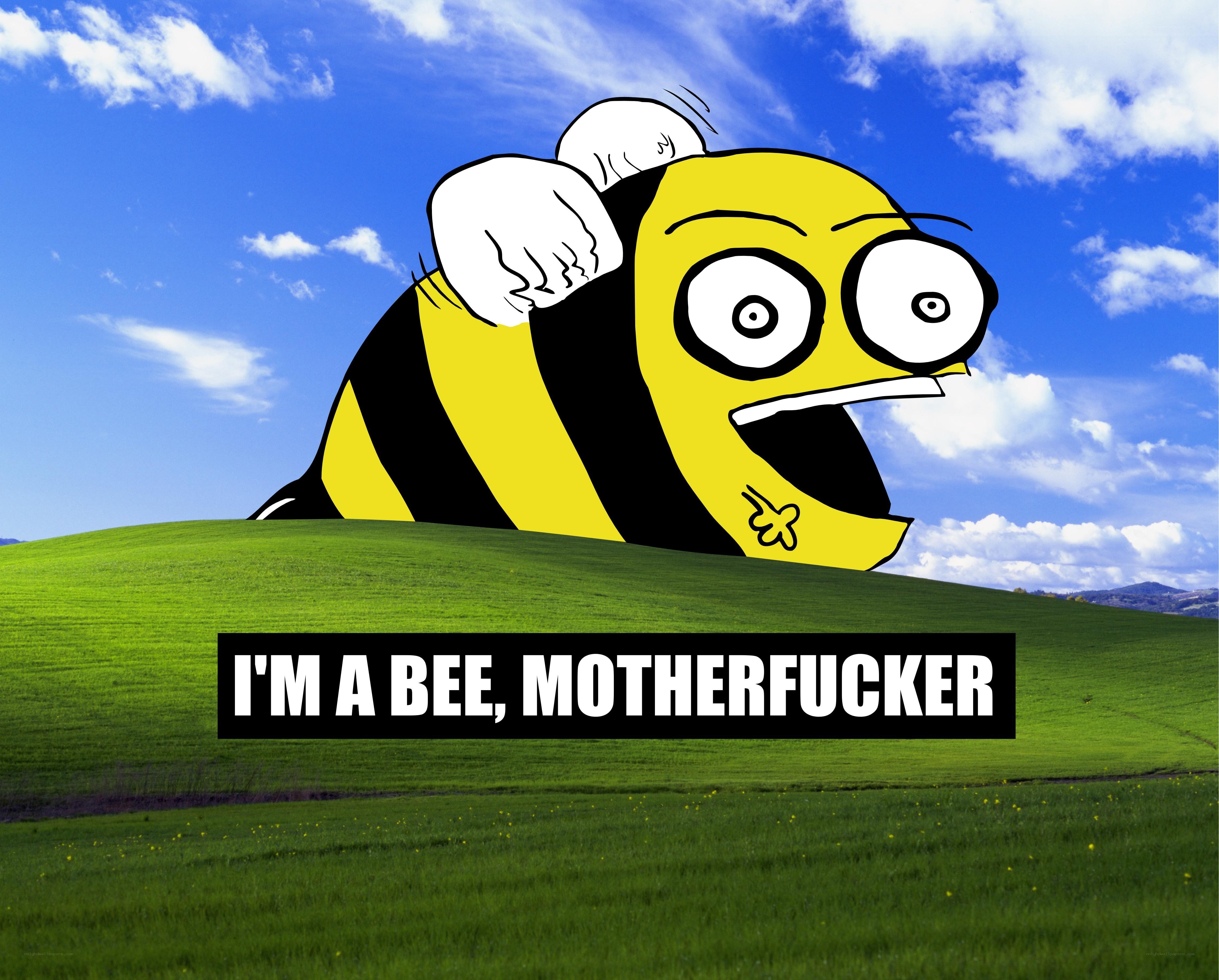 bee meme on hill
