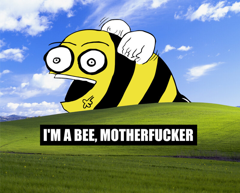 bee meme on hill