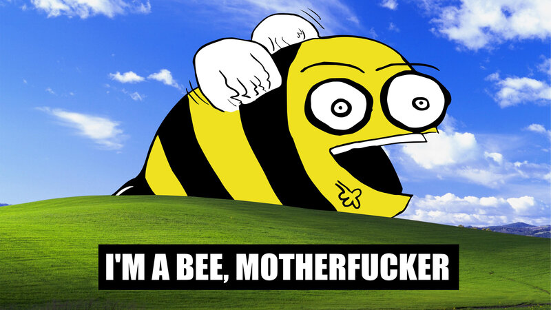 bee meme on hill