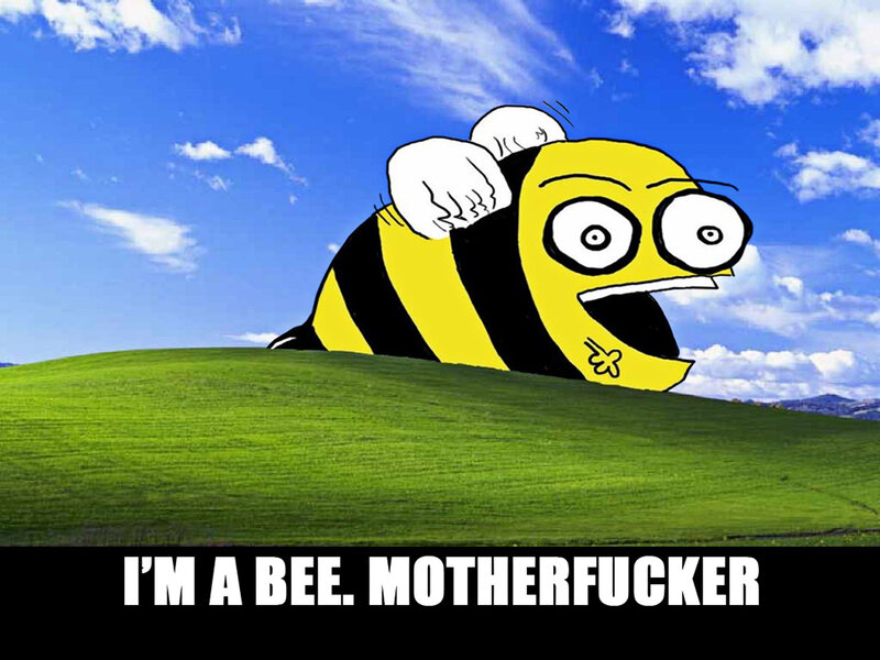 bee meme on hill