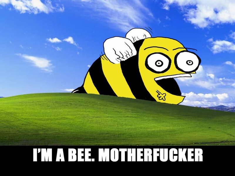 bee meme on hill