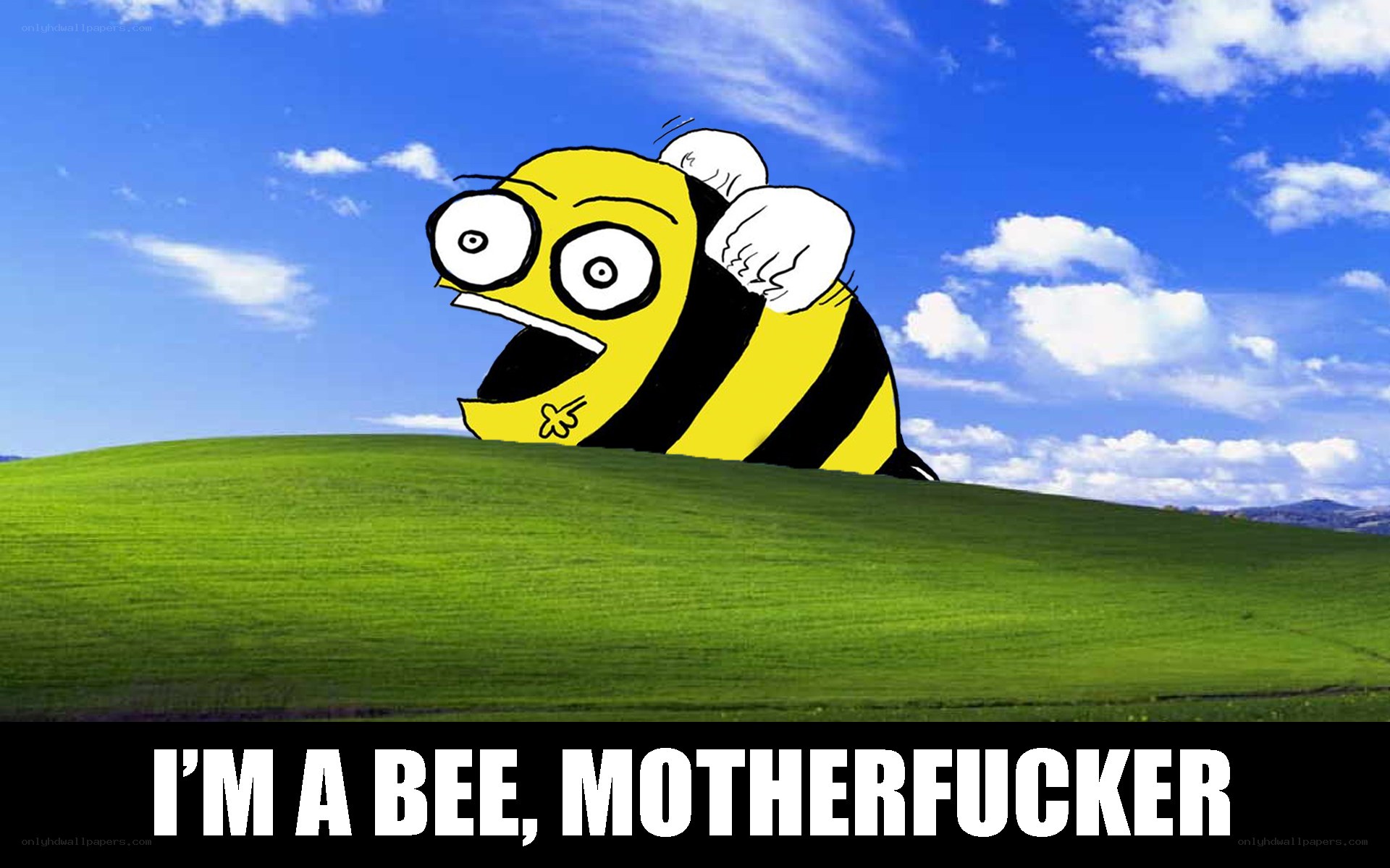bee meme on hills