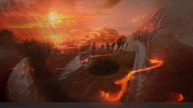 bee on a fiery landscape