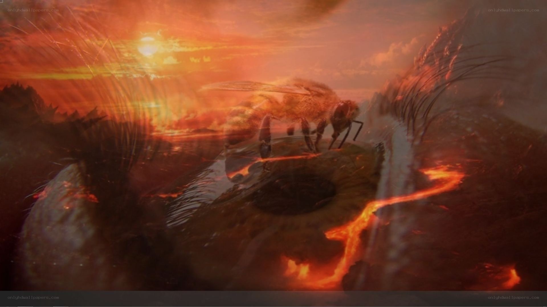 bee on a fiery landscape